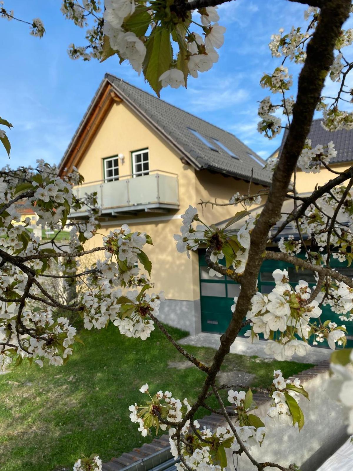 Ferienwohnung in Mariahof Neumarkt in Steiermark エクステリア 写真